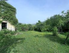 СУХУМ-50-СОТОК!