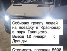 Поездка в парк Галицкого