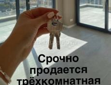 Абхазия Риелт Недвижимость 