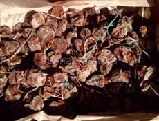 Сушонная хурма