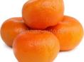 В продаже мандарины 