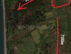 1га на горячем источнике