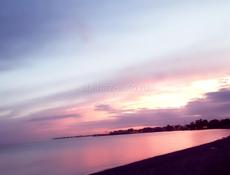 Ищу программиста для установки оборудования 