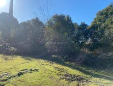 Очамчырский район участок 0,5 гектара