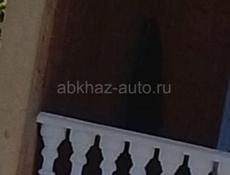 Гончая собака 