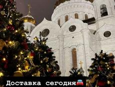 Доставка сегодня по Сухуму 