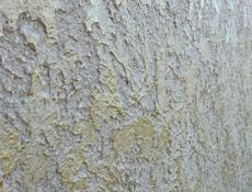 Венецианка 