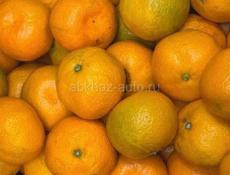 Продаю мандарины на сок 