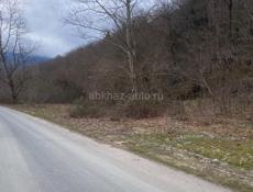 Каманы срочно!