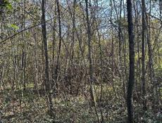 Куплю колышки для забора