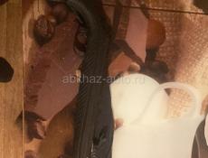 Продаю воздушка 170 атмосфер надо прицел поменять кончик регулировки  