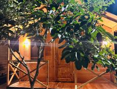 Коттеджи 3-х местные 