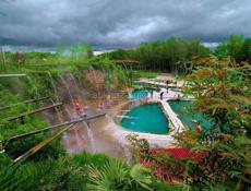 Куплю мандорини 4 тони песат на вацап 