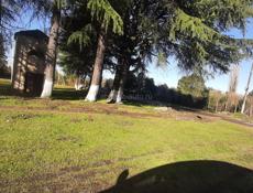 Участок 0,5 гектара Очамчырский район