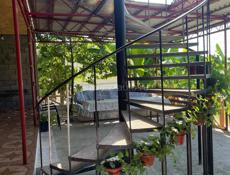 Сдам до мая …