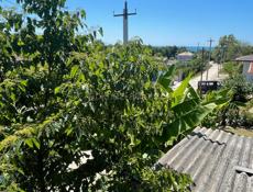 Сдам до мая …