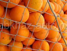 Продаются апельсины крупные/средние Кг 50 р  Звонить или писать на ватсап 7752026