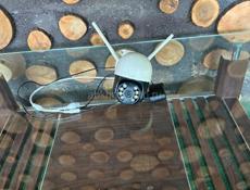 Камера видеонаблюдения 