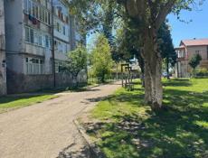 3 комнатная квартира 