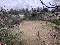 Участок эшба 40