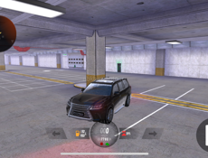 Продаю вирты блек раша