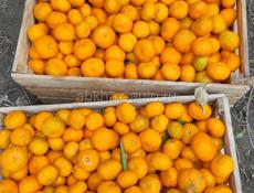 Мандарины 1.700т цена 60р