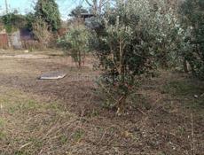 Продается участок срочно. 6 соток