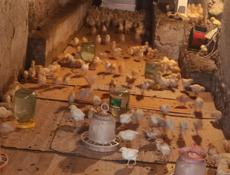 Продаю 3-х недельных цыплят несушек 