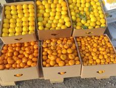 Куплю хороший мандарин 