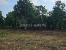 Цандрипш документы 📃 в порядке ! 