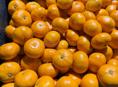 Куплю мандарины 