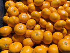 Куплю мандарины 