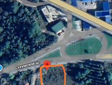 Колхида срочно 