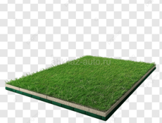 Земля на границе между РА и РФ