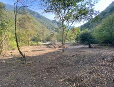 25 соток по дороге на Оз Рица