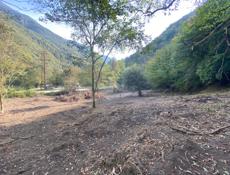 25 соток по дороге на Оз Рица