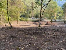 25 соток по дороге на Оз Рица