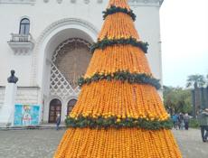 Муж жена ищут работу 