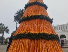 Муж жена ищут работу 