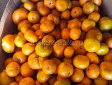 На сок мандарин около +- 400 кг по 15 р