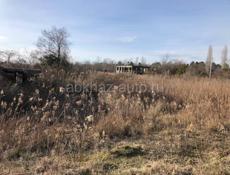 Цандрипш 15 соток 