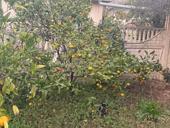 Продам участок 