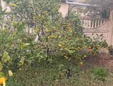 Продам участок 