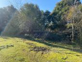 Участок 0,5 гектара 