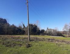 Участок 0,5 гектара 