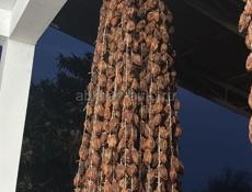 Хурма ( Сушка )