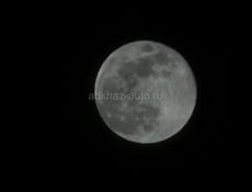 Обмен срочно 13 на воздушку хорошую с оптикой 