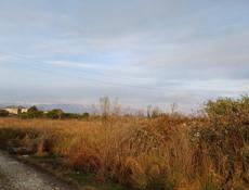 Продам участок, село Дача 