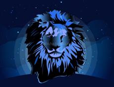 Сниму на круглый год на Мачарке