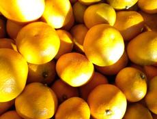 МАНДАРИНЫ ПРОДАМ